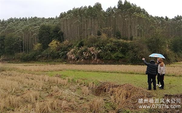 张家口市陈老师带着爱徒寻龙点穴